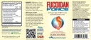 FUCOIDAN FORCE® - 24 flasker