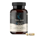TERRA ORIGINA Sunn Gut Reset PM | 60 Veggie Capsules | Naturlig søvnhjelp kosttilskudd for søvn og våke sykluser | GABA, L-tryptofan, Melatonin, L-Glutamine, L-Glutamine Root, Slippery Elm Root