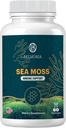 Sea Moss Gummies — Immunstyrke & Hud Helse, Organisk Irsk Moss Gummi Bjørne, 60 greve, Vegansk, Supermat Chewable Supplement for utholdenhet og helse