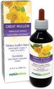 Naturalma Great Mullein eller vanlig Mullein (Verbascum thapsus) Blomster og blad alkohol-fri tinktur - 6,76 fl oz flytende ekstrakt i dråper - urte Supplement - Vegan