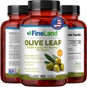 FineLand Olive Leaf Extract 50x – 25 000 mg Eq. per servering | 160 Vegan Caps, Olive Extract med 20% Oleuropein | Herbal Antioksidant Supplement for sirkulerende og immun støtte, laget i USA