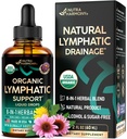 USDA Organic Lymphatic Drainage Supplement - Echinacea | Elderberry | Dandelion | Rosehip | Cleavers | Calendula | Burdock - laget i USA - Lymph System Drops - Immunstøtte, Cleanse & Detox, 2 fl oz