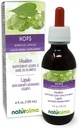 Naturalma Hops (Humulus lupulus) strobilus eller Cone (Kvinne Blomster) Alkoholfri Tinktur - 4 floz flytende ekstrakt i Drops - Herbal Supplement - Vegan