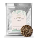 Starwest Botanicals Burdock Root Organic - Naturlig kilde til antioksidanter, Løs urt for te, ris, sop, & stews, Cut & Sifted, sertifisert Kosher, ikke-GMO - bulk 1 lb Bag