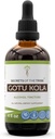 Hemmeligheter av Tribe Gotu Kola Tinktur alkohol væskeekstrakt, Gotu Kola (Centella Asiatica) tørket urt (4 FL OZ)