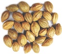 Naturals Terminalia Tsjebula | Kadukkai| Harad | Inkut | Haitaki Indisk opprinnelse Urter (200g(7 oz))