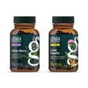Gaia Herbs Vitex Berry (Chaste Tree) - støtter hormonbalanse og fruktbarhet for kvinner - 60 Vegan Caps & Liver Health - Liver Supplement med Melk Thistle