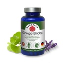 Ginkgo Biloba, minne, fokus og hjernefunksjon støtte, Antioksidant-Rich, plantebasert, GMP, Herbal Nootropic Vegetariske kapsler, 120 greve (pakke av 1)
