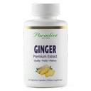 Paradise urter Premium Ginger Extract for Digestive Helse, Super Potent, Ultra ren, Vegansk, Ikke-GMO, Glutenfri, 60 Vegetariske kapsler