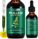 Mullein Leaf ekstrakt for lunger, mullein dråper for lunger, støtte lunge, respirasjonsfunksjon for sunn puste, forbedring i lungefunksjon, naturlig og trygt supplement (1 PC)