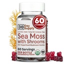 Sea Moss Gummies med Lions Mane Mushroom - Sea Moss Gel Alternativ med Irish Moss, Reishi, Cordyceps, Chaga & Tyrkia Tail Supplement - Fokus Gummy uten kaffe- 60 ct