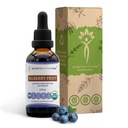 Hemmeligheter i Tribe Bilbær Frukt USDA Økologisk | Alkohol-fri ekstrakt, høy potens Herbal Drops, Visjon | Laget av 100% Certified Organic Bilberry (Vaccinium Myrtillus) Tørket frukt 2 oz