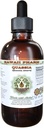 Quassia alkohol-fri flytende ekstrakt, Quassia (Quassia Amara) tørket Bark Glycerite Natural Herbal Supplement, Hawaii Pharm, USA 2 fl.oz