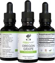 Premium Organic Oregon Grape Root Tinktur - alkohol-fri ekstrakt, 1oz | Herbal støtte | Ziggy helse