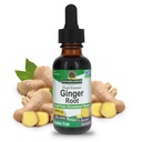 Naturens svar Ginger Root alkohol gratis ekstrakt 1 Ounce | Støtter magefunksjon | Vegansk | Vegetarisk | Ikke-GMO | Glutenfri