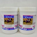 SU-PER B-Plex pulver equin vitaminer - komplette B-Complex Horse vitaminer og mineraler Supplement - Sunn Hoves, røde blodceller, heste beroligende pulver - 2,5 pounds, (2 pakke)