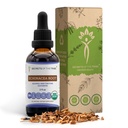 Echinacea Root USDA Økologisk Tinktur | Alkoholfri ekstrakt, høy potens Herbal Drops, Immunsystem Helse | laget av 100% sertifisert organisk Echinacea Root (Echinacea Purpurea) 2 oz