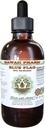 Blått flagg alkohol-fri flytende ekstrakt, organisk blått flagg (Iris versicolor) tørket rot glykeritt Hawaii Pharm Naturlig Herbal Supplement 2 oz