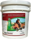 CVM - Hestevitaminer - vitamin e Supplement for hester - Hestetilskudd - Sunn og skinnende Coat - Selen - Matetilskudd - Mineral Vitamin Kompleks (Stor)