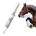 Ramard Total energi og utholdenhet støtte med B-vitaminer og aminosyrer, maksimerer oksygenkapasitet, Peak ytelse i konkurranse eller trening, kraftig vasodilatator, oral gel, 15 cc Syringe, 1-Pack