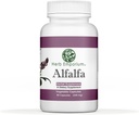 Herb Emporium Alfafa (Medicago Sativa L, Alpalpa) Kapsler 90 Grønnsaker Kapsler (340 mg) Herbal Supplement for sunn digestion (pakke med 1)