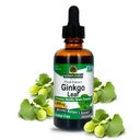 Naturens svar alkohol Gratis Ginkgo Biloba Leaf Extract, 2 Ounce, 2 Teller | støtter en sunn hjerne | fremmer kognitiv funksjon | Øke mental klarhet | Naturlig fokushjelp