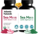 Atlantic Naturals Sea Moss Superfood Bundle - sjø Moss med beet Root & Spirulina Kapsler - Forsvarsstøtte, blodflyt, felles helse og jern - 240 Kapsler (2 x 120 ct)