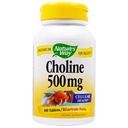 NATURE 'S WAY Choline 500mg 100 tabletter