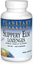 PLANETARI HERBALS Slippery Elm Lozenges, Unflavored, 200 greve