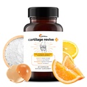 UpWellness Cartilage Revive + Joint Support Supplement for menn og kvinner med type II kollagen for ledd - D-Glucosamine Sulfate, MSM, vitamin D3, vitamin C og mer - 60 kapsler