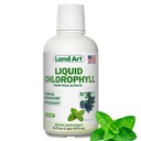 Landkunst - Flytende klorofyll Mint - Kaldt utdrag fra Wild Non-GMO Alfalfa - Naturlig klorofila Liquida - Antioksidant - Detox Supplement - Økt energi - Alkalizing & Body Odor Neutralizer - 16 flux