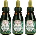 3 flasker Apiario Silvestre Bee Pollen & Brazil Grønn Bee Propolis væske - Glykol Extract-Non alkoholic, Wax Gratis, Sukkerfri