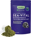 Dyr Essentials Ocean Kelp for hunder og katter - Thyroid støtte, Thyroid Supplement, Sea Kelp, Kelp pulver, spor Mineral Supplement - 24 Oz