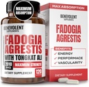 Fadogia Agrestis 1500mg [Høyeste renhet] + BioPerine® for høy absorpsjon Supplement med Tongkat Ali - Øk utholdenhet, lean muskelvekst og gjenoppretting, Boosts Drive 3rd Party testet 120 kapsler