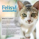 L-Lysine Gel for katter - Immunsystemstøtte - Tilleggsstøtte for sunne vev, respirasjon og visjon - Salmon-Flavored - Laget i USA - 5 oz