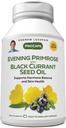 ANDREW LESSMAN Aften Primrose og svart currant Seed Oil 60 Softgels - Soothes Fysisk Discomfort og Mood Swings På grunn av Menstruell Syklus, med Gamma-Linolenic, Omega-6 fettsyrer, Ingen additiver