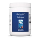 Allergi Forskningsgruppen Cellulosepulver - meloxicam cellulose pulver, 2000mg Uoppløselig Fiber Supplement, pulverisert cellulose, ikke-Fermentable, Hypoallergenic - 8,8 Oz