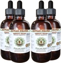 Hawaii Pharm Oregon Grape alkohol-fri flytende ekstrakt, Oregon Grape (mahonia akifolium) tørket rot glyseritt naturlig urte Supplement, USA 4x4 fl.oz