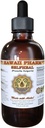 Selfheal flytende ekstrakt, organisk selfheal (Prunella Vulgaris) Tinktur, Herbal Supplement, Hawaii Pharm, laget i USA, 4 fl.oz