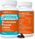 2000 MG Liposomal Nicotinamid Riboside Supplement med TMG & Pterostilbene, høy biotilgjengelighet NAD + Økning Supplement, Superior til Niacinamid for energi, immunitet, aldersmotstand, 120 Softgels