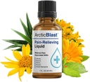 N Labs Arctic Blast Premium Topical Pain Relief Drops – rask absorbering DMSO, Menthol & Camphor for rygg, kne, skulder, ledd & muskelsmerter – kuling Rub Formula – laget i USA – 1 fl oz