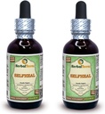 Selvheal (Prunella Vulgaris) Glyceritt, Økologisk tørket Herb alkohol-FREE væskeekstrakt (merkenavn: HerbalTerra, stolt laget i USA) 2x2 fl.oz (2x60 ml)
