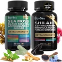 Boysea. Shilajit og sjø Moss Bundle- 90 greve - Hav Moss, Svart Seed Olje, Ashwagandha, Ginger & Shilajit, Rhodiola Rosea, Alle i 1 kosttilskudd (1 stk)