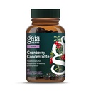 Gaia Herbs Cranberry Konsentrum - bidrar til å opprettholde urinveistrakt helse - laget med organisk tranebær fruktjuice ekstrakt i beleilige kapsler - 60 vegan flytende fyto-kapsler (30-dagers forsyning)