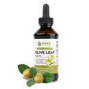 Maxx Herb Olive Leaf Extract – Maks styrke Oleuropein flytende absorber bedre enn kapsler eller te, for immun støtte, hjerte helse og sesongmessig velvære - 4 Oz flaske (60 serveringer)