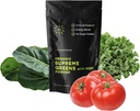 Organic Superfood Greens pulver med MSM, for Gut Helse, Digestion, Immunstøtte, Energi og mer (Sugarfri, Ikke-GMO, Keto, Vegan), 60 Services, 30 dagers forsyning