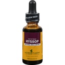 Herb Pharm Certified Organic Hyssop flytende ekstrakt - 1 Ounce