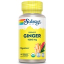 SOLARAY Organic Ginger 1080 mg - Organic Ginger Supplements - lindrer smerte og beslektethet forbundet med bevegelsessykhet, støtter felles helse - Vegan, ikke døsende, 60-dagers garanti, 50 serveringer