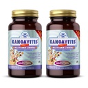 Solgar Kangavites, Bouncin 'Berry Flavor - 120 Chewable Tabletter, Pakke med 2 - Komplett Multivitamin & Mineral formel for barn - Vegan, Glutenfri