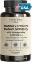 VINATURA Kanna Zembrin Sceltium Tortuosum - 50mg Kanna/Serving, med Ashwagandha, Ginseng *Brain helse, Stress Relief Support* Panax Ginseng 80% Ginsenosides Ashwagandha Kapsler 10% Witanolides